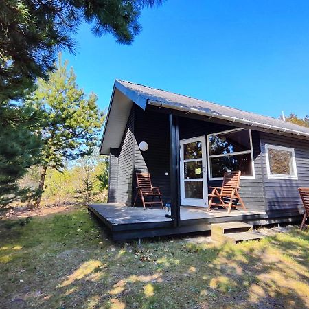 Tranum Klit Camping Og Hytteudlejning Brovst المظهر الخارجي الصورة