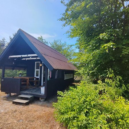 Tranum Klit Camping Og Hytteudlejning Brovst المظهر الخارجي الصورة