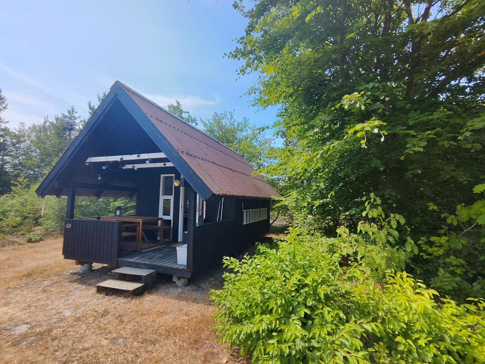 Tranum Klit Camping Og Hytteudlejning Brovst المظهر الخارجي الصورة